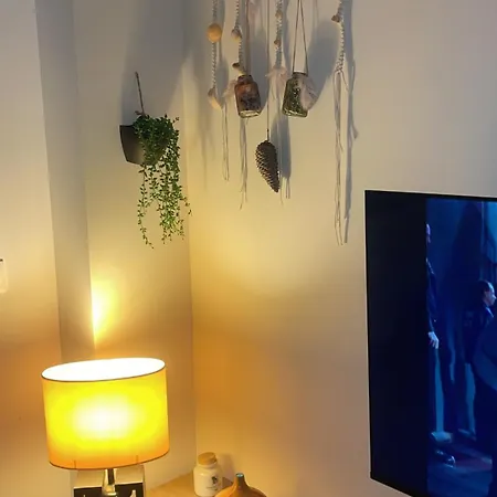 F3 A ホームステイ *